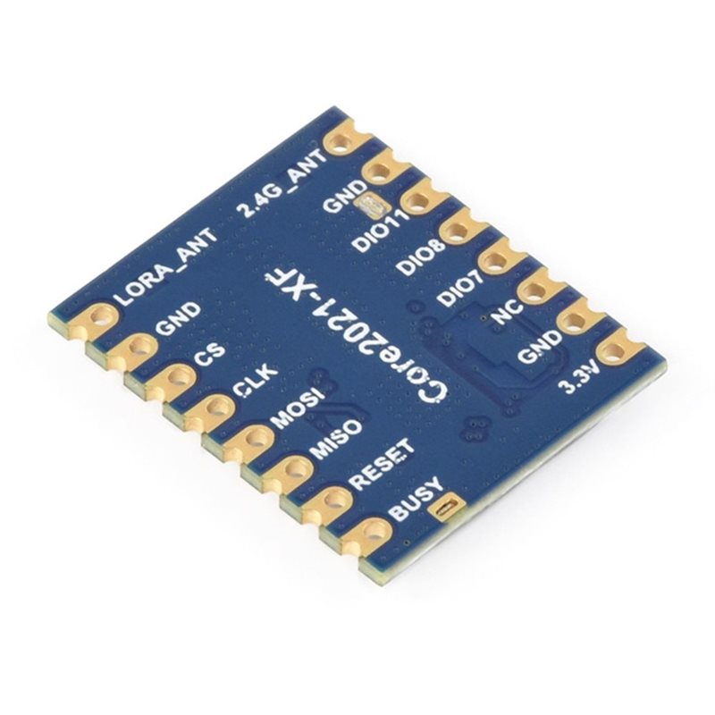 AA60 Core2021-LF LoRa Dual Ban - Smart Home Module Iot recension och pris