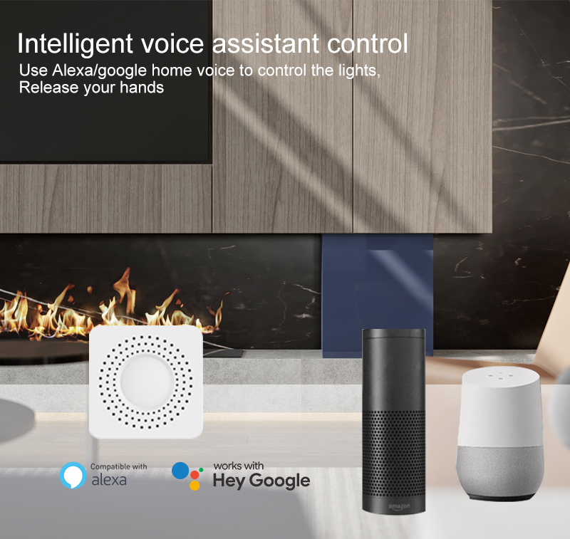 Tuya Mini Smart Switch WiFi 1- - Smart Relay Tuya recension och pris